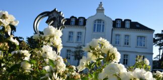 Mehr Zeit für musikalische Talente