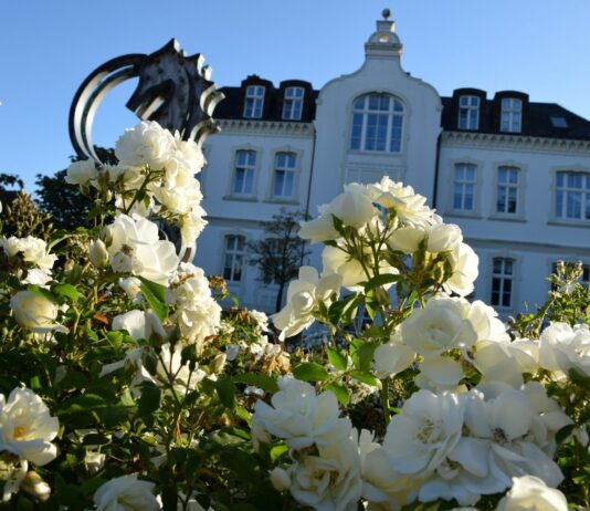 Mehr Zeit für musikalische Talente