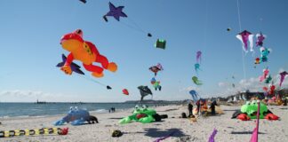 Beeindruckende Drachen am Himmel über Grömitz