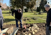 Beetgestaltung auf dem Stockelsdorfer Friedhof