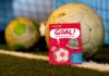 Goal! Studienkreis verschenkt Fußball-Sprachguide