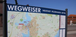 Platt-Fischtag geht in die 2. Runde
