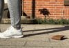 Neue Online-Dienste im Rathaus der Gemeinde Stockelsdorf