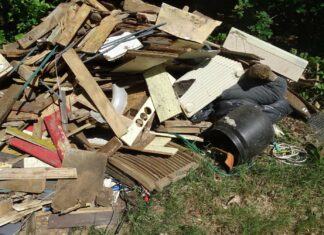 Wer entsorgte den Müll im Wald?