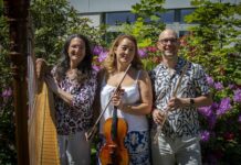 Beim 8. Kammerkonzert stehen Flöte, Viola und Harfe im Mittelpunkt