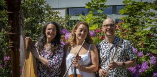 Beim 8. Kammerkonzert stehen Flöte, Viola und Harfe im Mittelpunkt