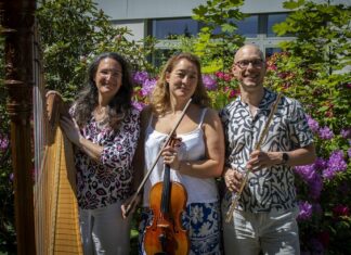 Beim 8. Kammerkonzert stehen Flöte, Viola und Harfe im Mittelpunkt