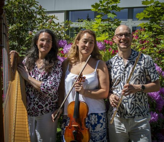 Beim 8. Kammerkonzert stehen Flöte, Viola und Harfe im Mittelpunkt