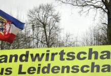 Erntebilanz 2026 in Schleswig-Holstein