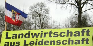 Erntebilanz 2026 in Schleswig-Holstein