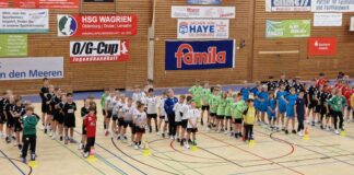 Oldenburg im Handballfieber