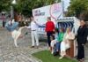 Bad Schwartau feiert Stadt- und Familienfest