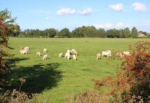 Klares Bekenntnis für eine starke Landwirtschaft