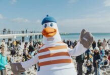 Tourismusregion Lübecker Bucht verbucht Zuwächse