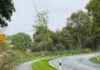 Asphaltarbeiten auf der L 184 zwischen Curau und Pohnsdorf
