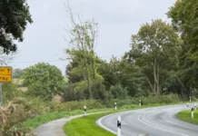 Asphaltarbeiten auf der L 184 zwischen Curau und Pohnsdorf
