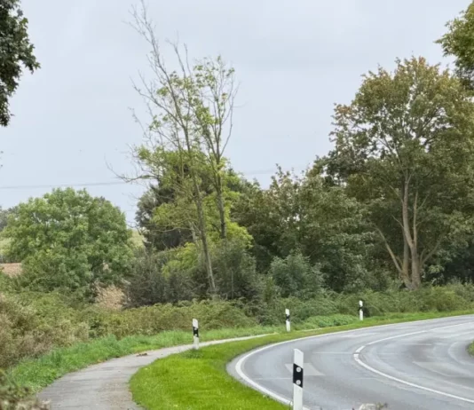 Asphaltarbeiten auf der L 184 zwischen Curau und Pohnsdorf