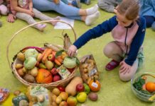 Erntedank: Johanniter-Kita Sternschnuppe spendet für die Tafel